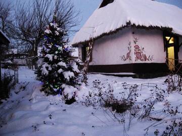 Фото номера Таунхаус с 3 спальнями Загородные дома Koryakivskyi Rai г. Dmitrenki 30